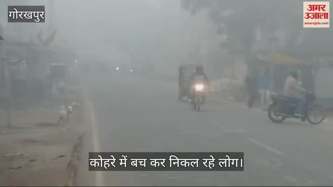 VIDEO : Dense fog in Gorakhpur on Tuesday morning