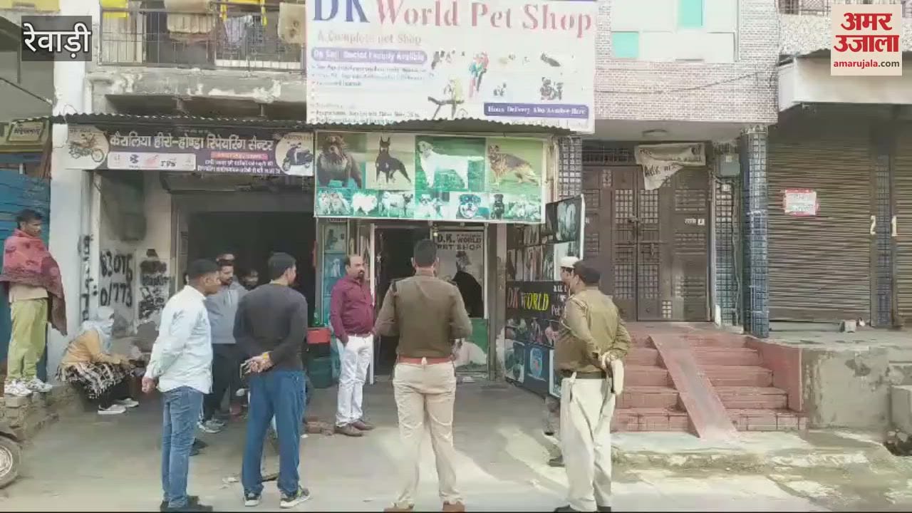 VIDEO : Two dogs and birds of high price were stolen after breaking the lock of animal clinic in Rewari