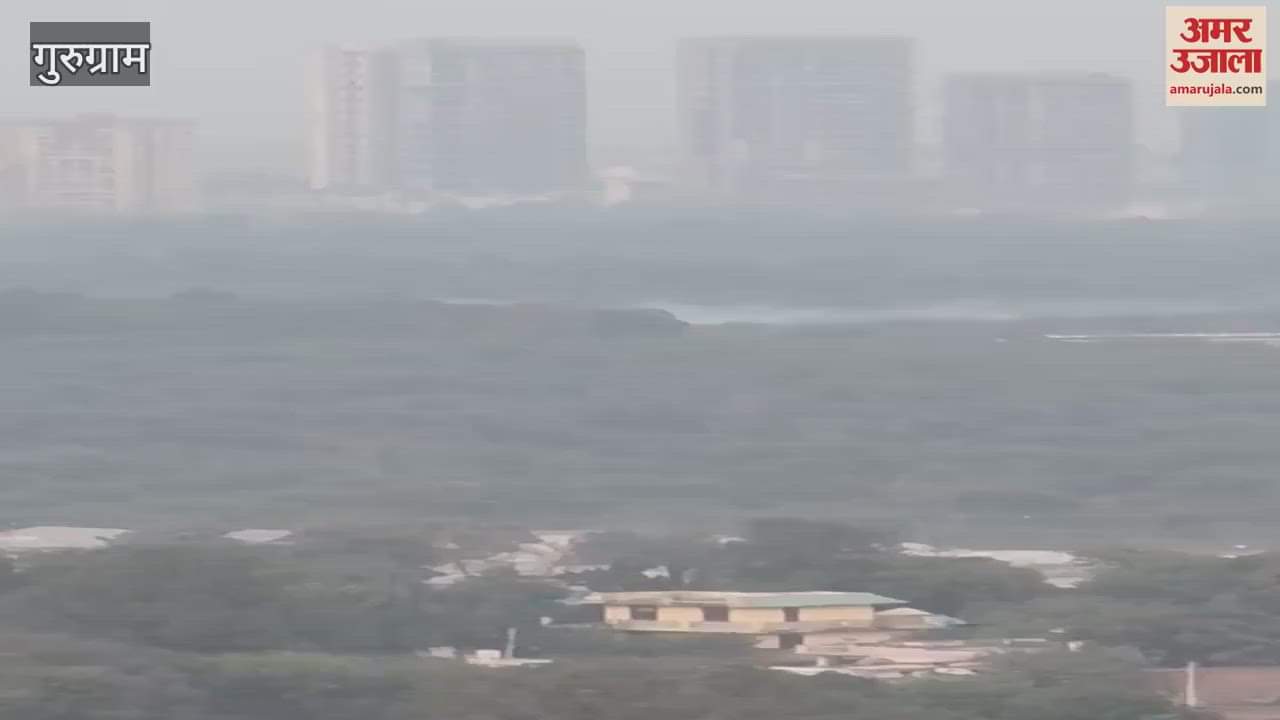 VIDEO : Garbage burning at many places in Ghata and Sector 57-58 in Gurugram