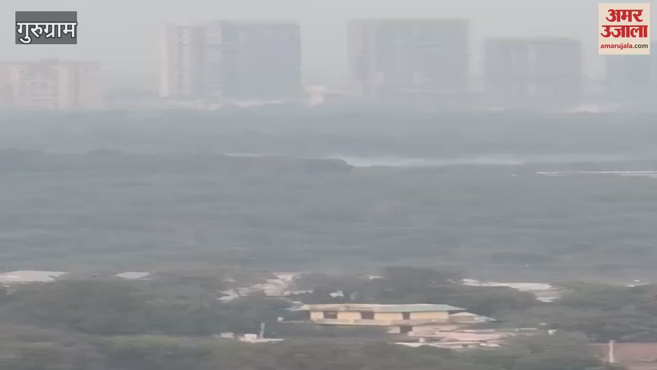 VIDEO : Garbage burning at many places in Ghata and Sector 57-58 in Gurugram