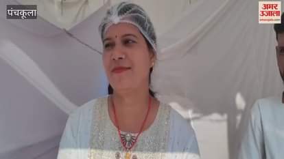 VIDEO : पंचकूला में पहाड़ी मोमोज (सिड्डू) के कायल हुए लोग