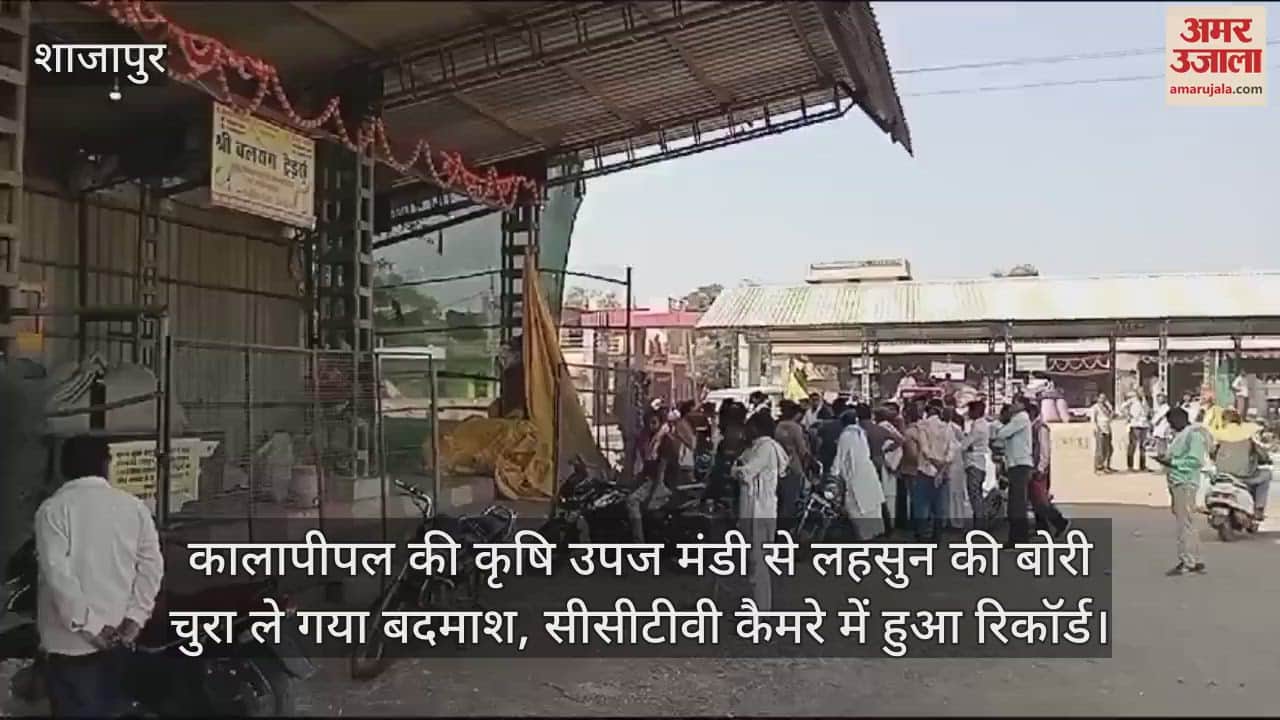 The miscreant stole a sack of garlic from the agricultural produce market of Kalapipal