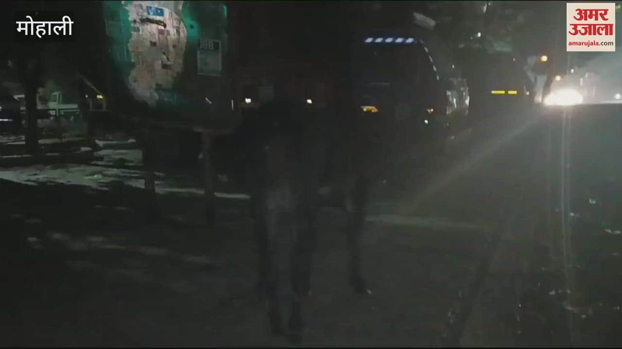 VIDEO : Cattle standing on the road at night in Mohali causes problems to drivers