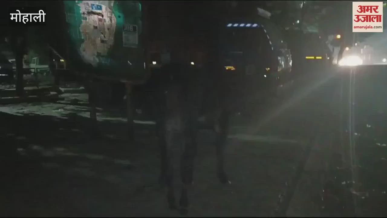 VIDEO : Cattle standing on the road at night in Mohali causes problems to drivers
