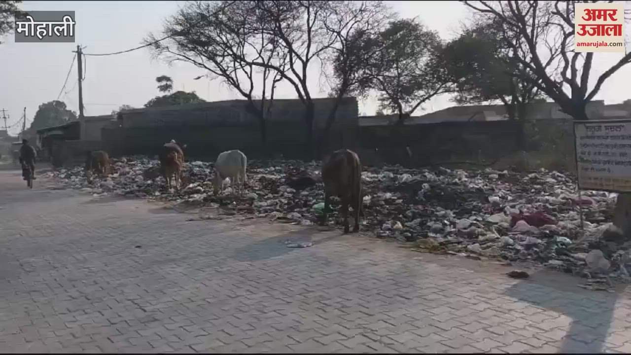 VIDEO : People throw garbage where notice boards are placed in Jagatpura