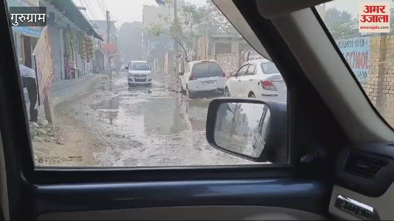 VIDEO : Sewage filth is flowing on the road for one kilometer in Palam Vihar Extension