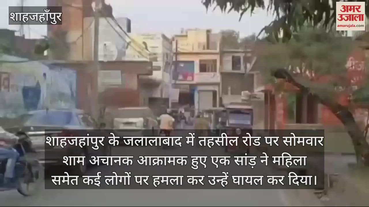 VIDEO : जलालाबाद में सांड़ का आतंक, कई लोगों को उठाकर पटका