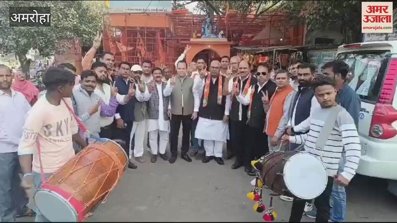 VIDEO : Superb performance in Maharashtra, BJP workers rejoice after winning seven seats in UP by-election