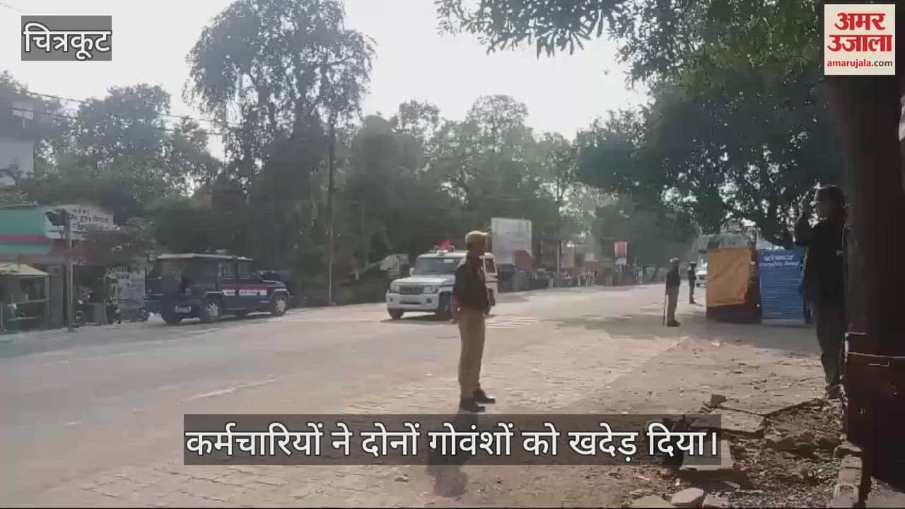 VIDEO : अन्ना गोवंश ने रोका सीएम का काफिला, अधिकारियों के हाथ पैर फूले