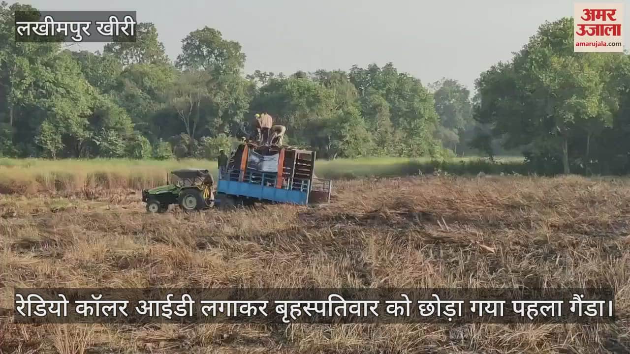 VIDEO : दुधवा टाइगर रिजर्व में गैंडों को जंगल में स्वच्छंद विचरण के लिए छोड़ा
