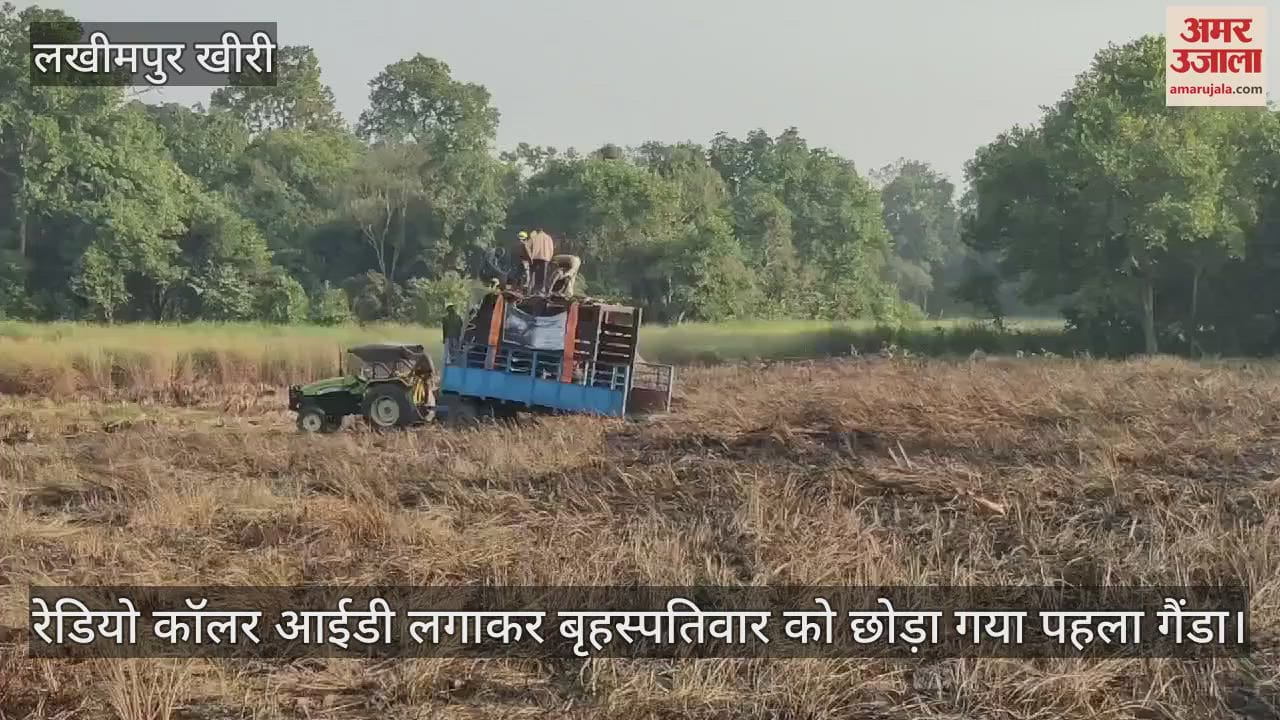 VIDEO : दुधवा टाइगर रिजर्व में गैंडों को जंगल में स्वच्छंद विचरण के लिए छोड़ा