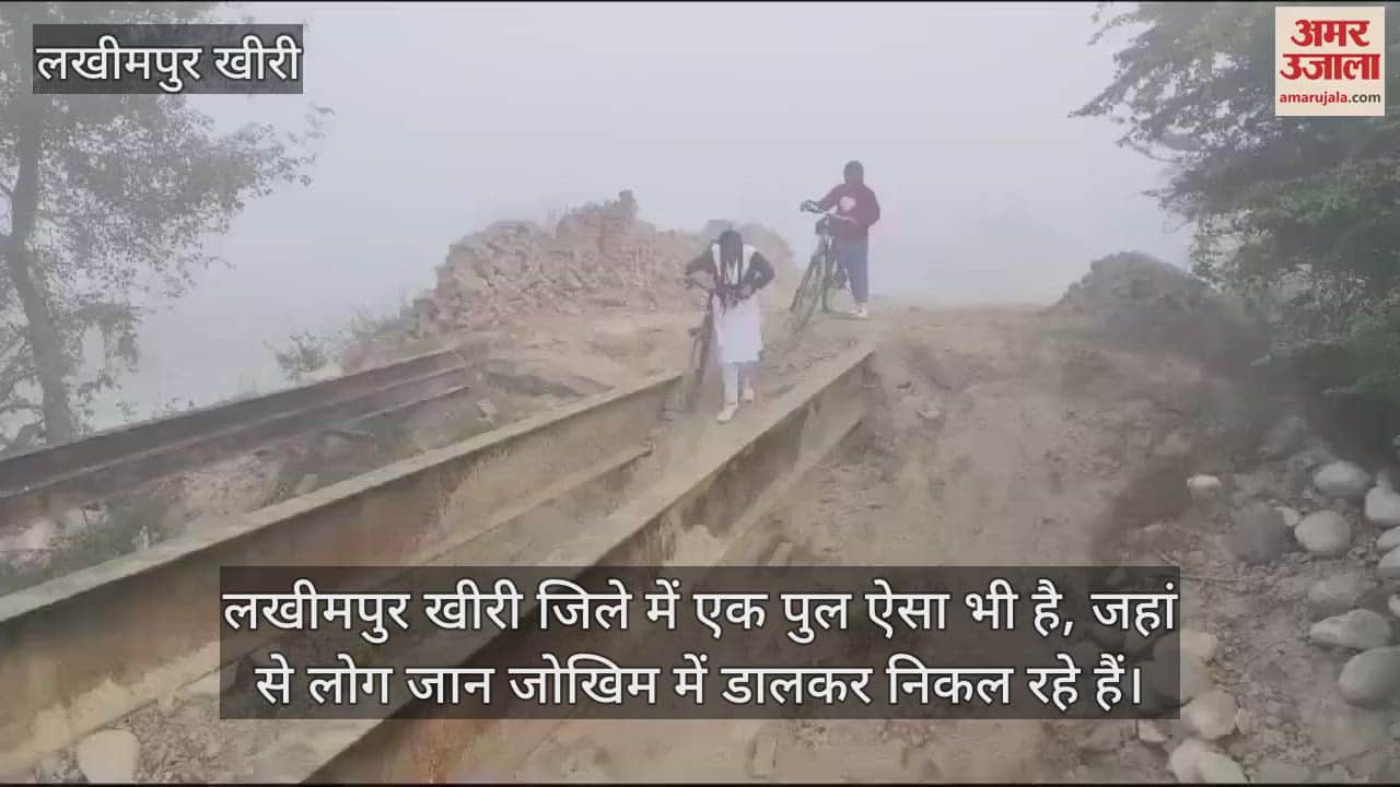 VIDEO : जोखिम में जान... टूटे पुल से गुजरने को मजबूर ग्रामीण