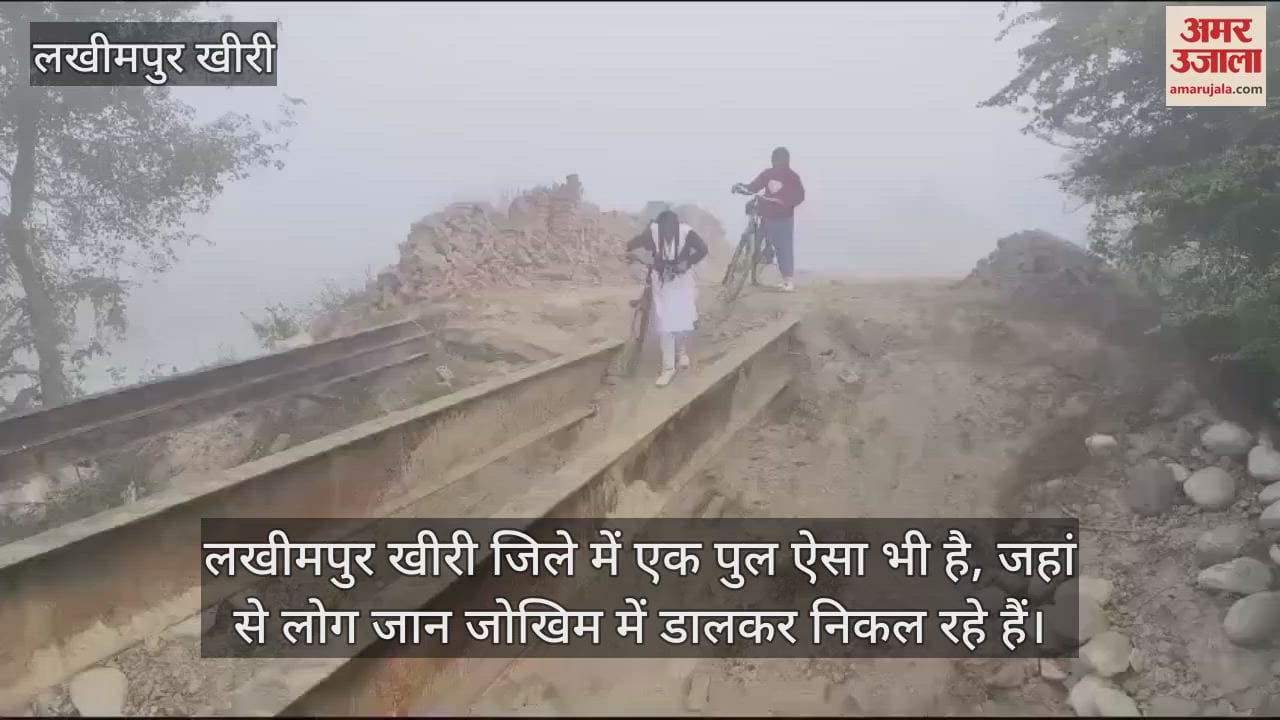 VIDEO : जोखिम में जान... टूटे पुल से गुजरने को मजबूर ग्रामीण