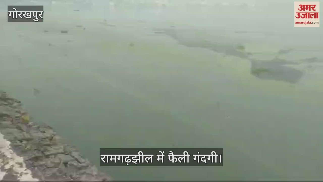 VIDEO : Lot of filth was seen in Ramgarhtal on Thursday