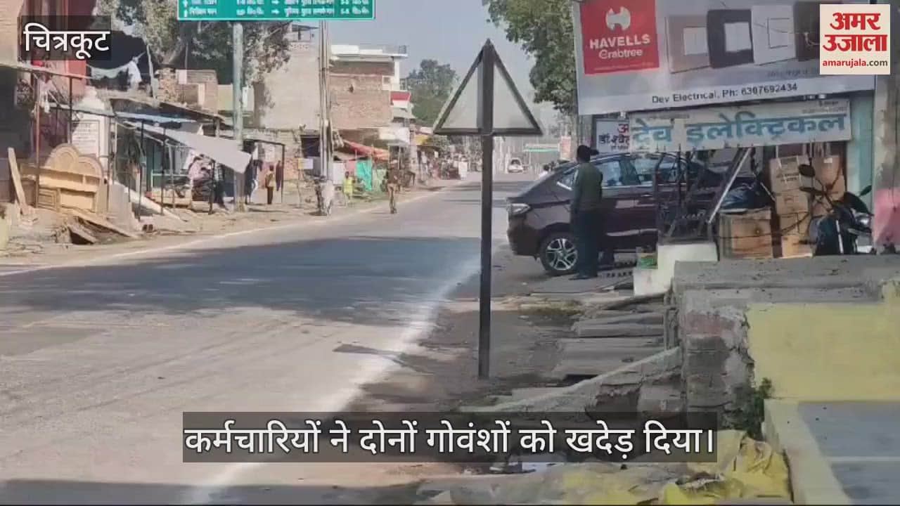 VIDEO : अन्ना गोवंश ने रोका सीएम का काफिला, अधिकारियों के हाथ पैर फूले
