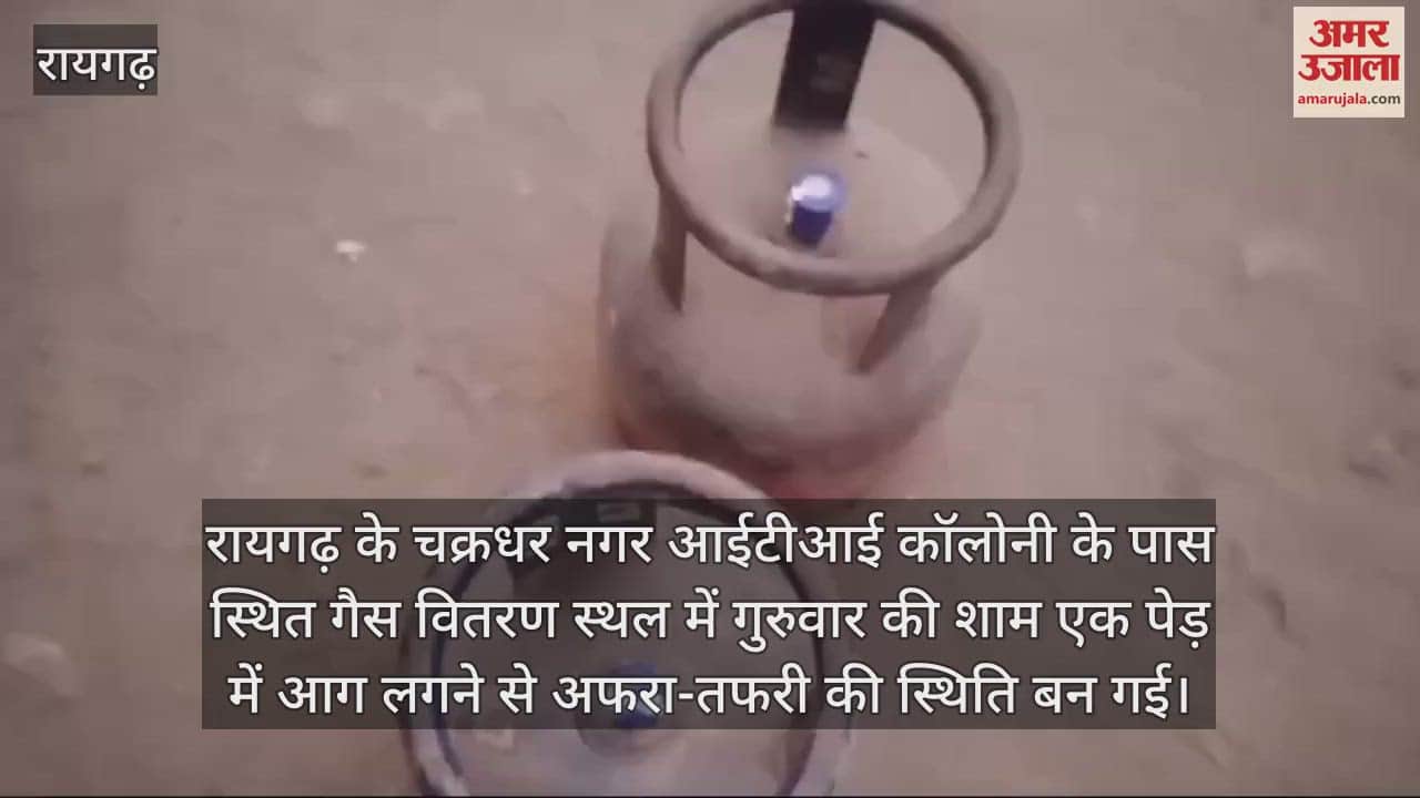 VIDEO : Tree caught fire near gas distribution site in Raigarh