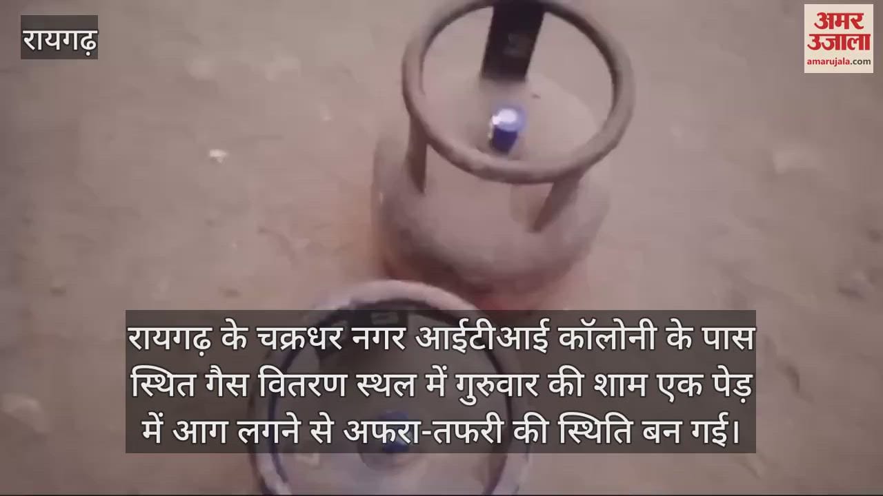 VIDEO : Tree caught fire near gas distribution site in Raigarh