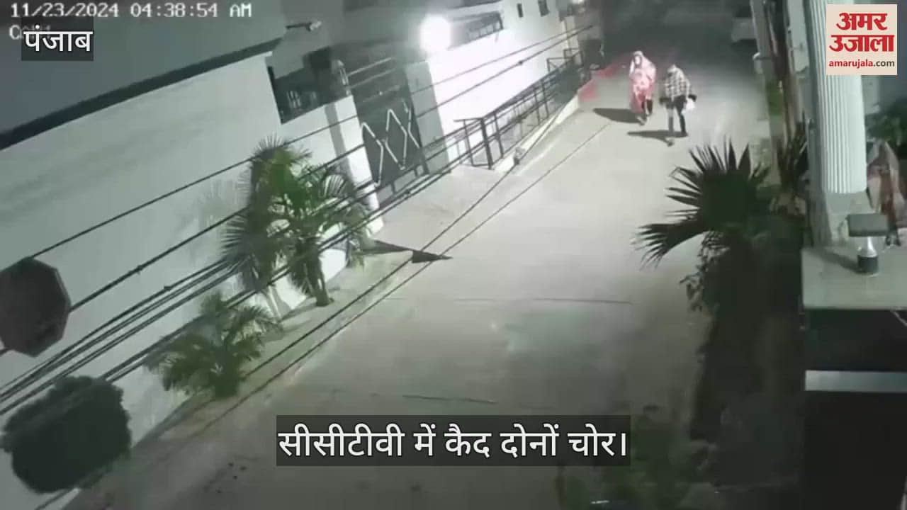 VIDEO : कपूरथला में आधी रात चोरों ने बोला धावा, सीसीटीवी में कैद