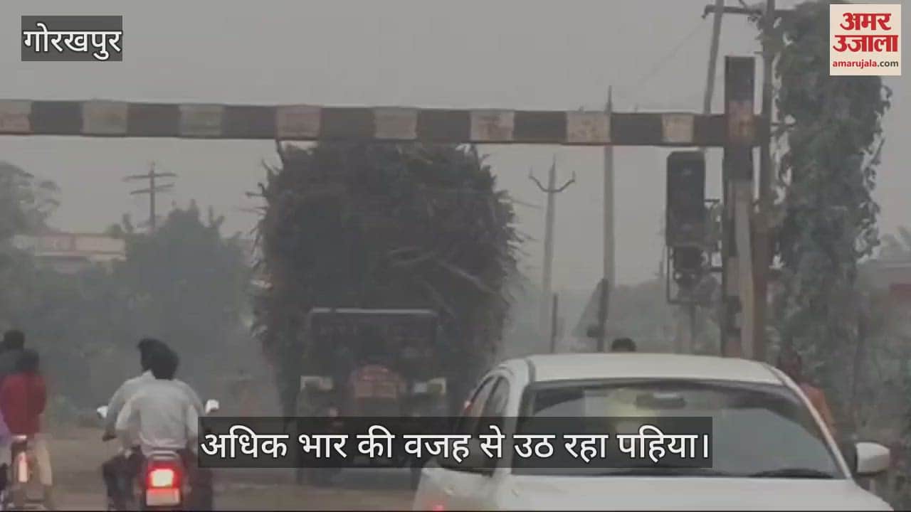 VIDEO : Overloaded trolley laden with sugarcane running on the roads