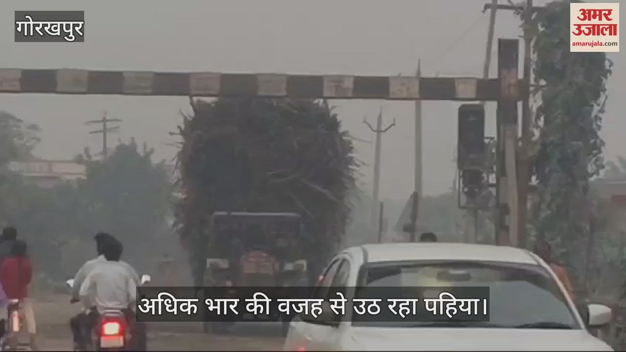 VIDEO : Overloaded trolley laden with sugarcane running on the roads
