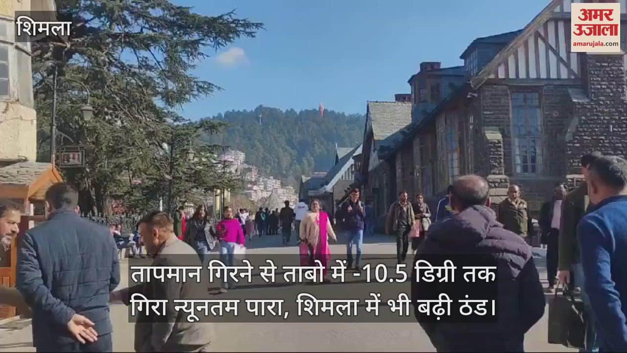 VIDEO : Due to falling temperature, minimum temperature in Tabo dropped to -10.5 degrees, cold increased in Shimla too