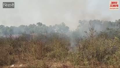 VIDEO : Dry bushes near DC Colony were set on fire, smoke spread in the air