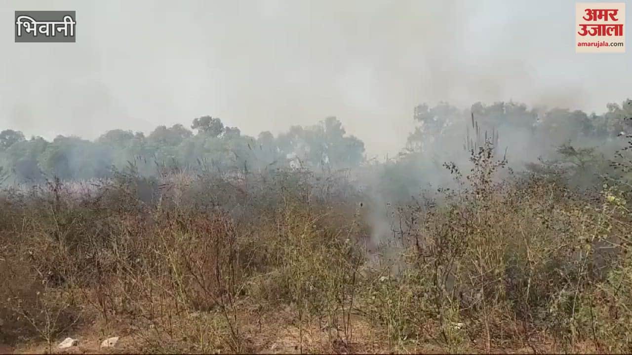 VIDEO : Dry bushes near DC Colony were set on fire, smoke spread in the air
