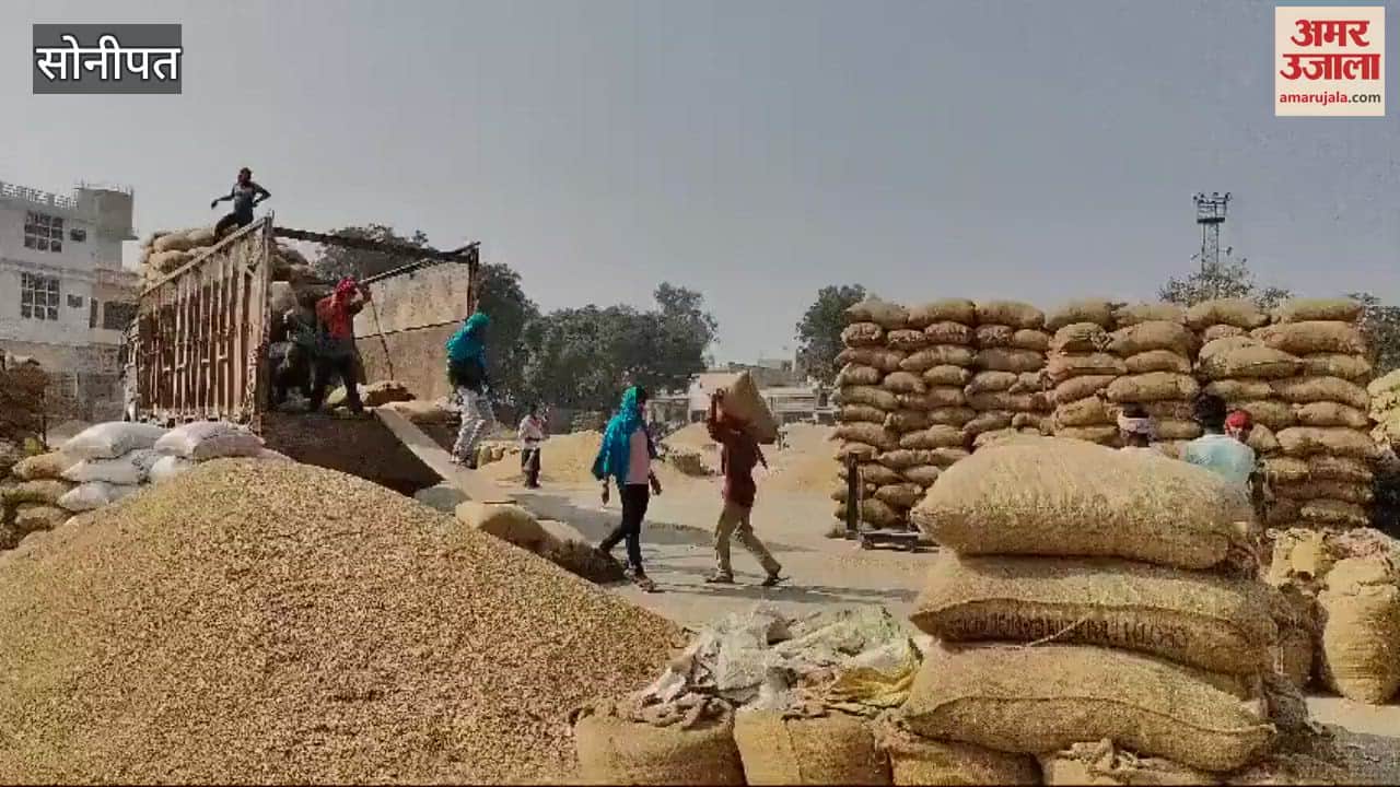 VIDEO : Due to high arrival of paddy in Sonipat, market closed, lifting continues