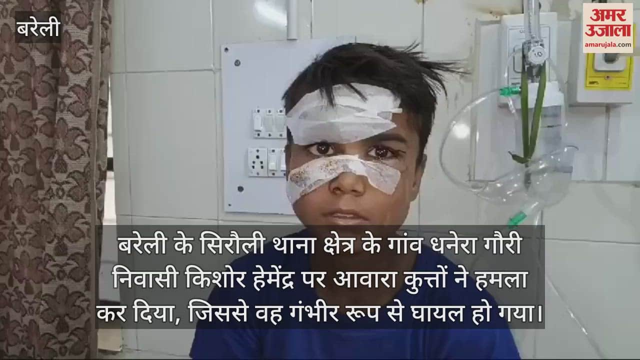 VIDEO : बरेली के सिरौली में कुत्तों ने किशोर पर किया हमला, घायल