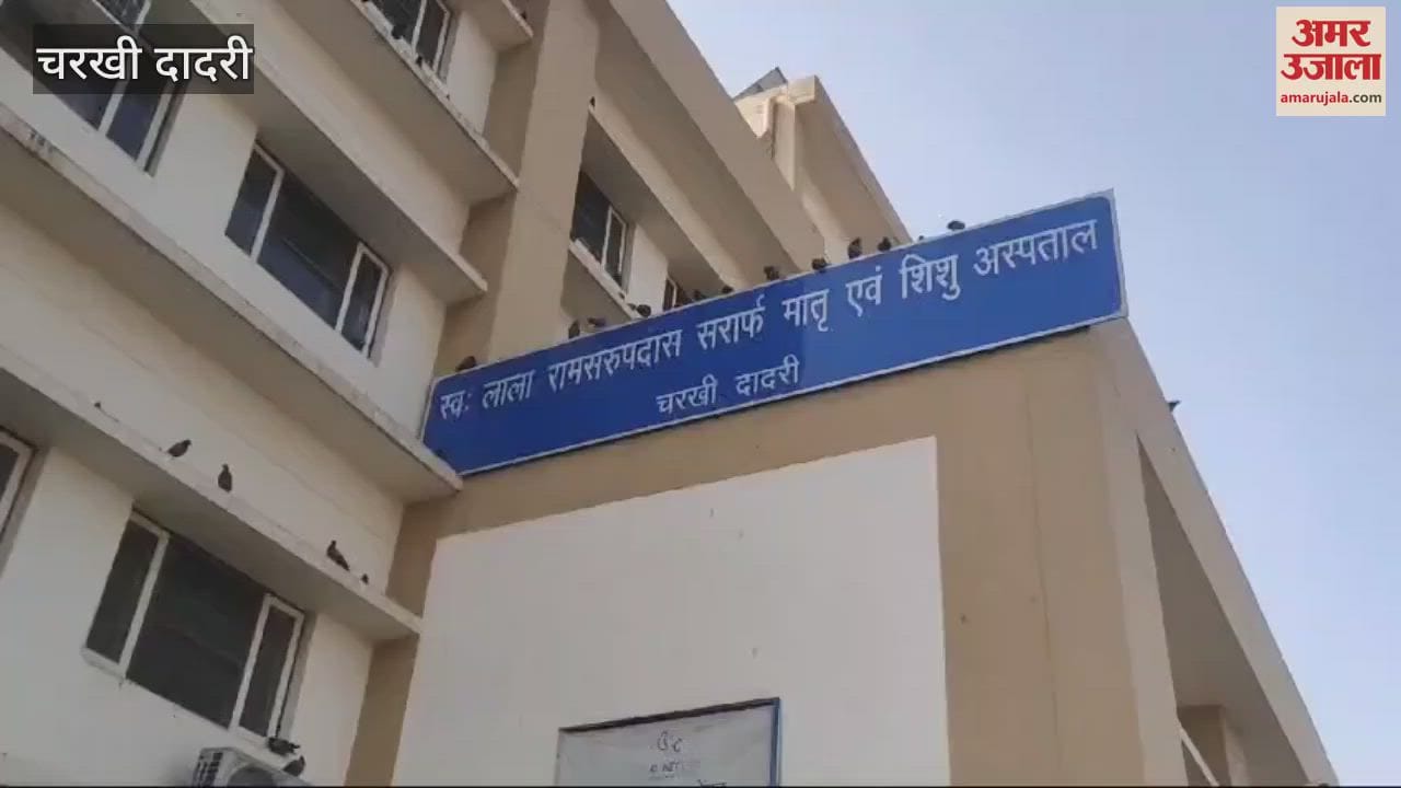 VIDEO : 8 lakh deposited in electricity corporation, still MCH electricity connection load did not increase in Charkhi Dadri