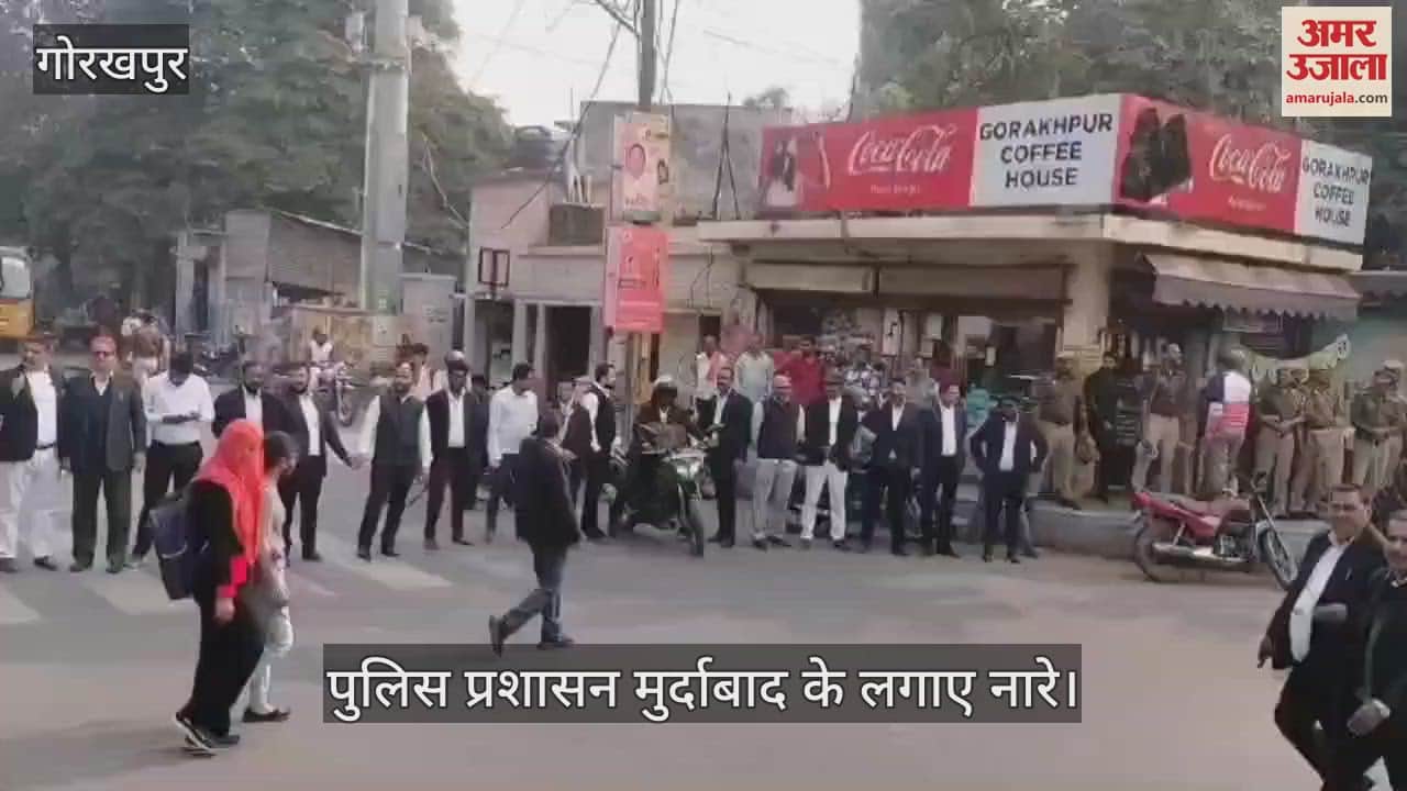 VIDEO : Protest of advocates at Ambedkar square regarding attack on advocate