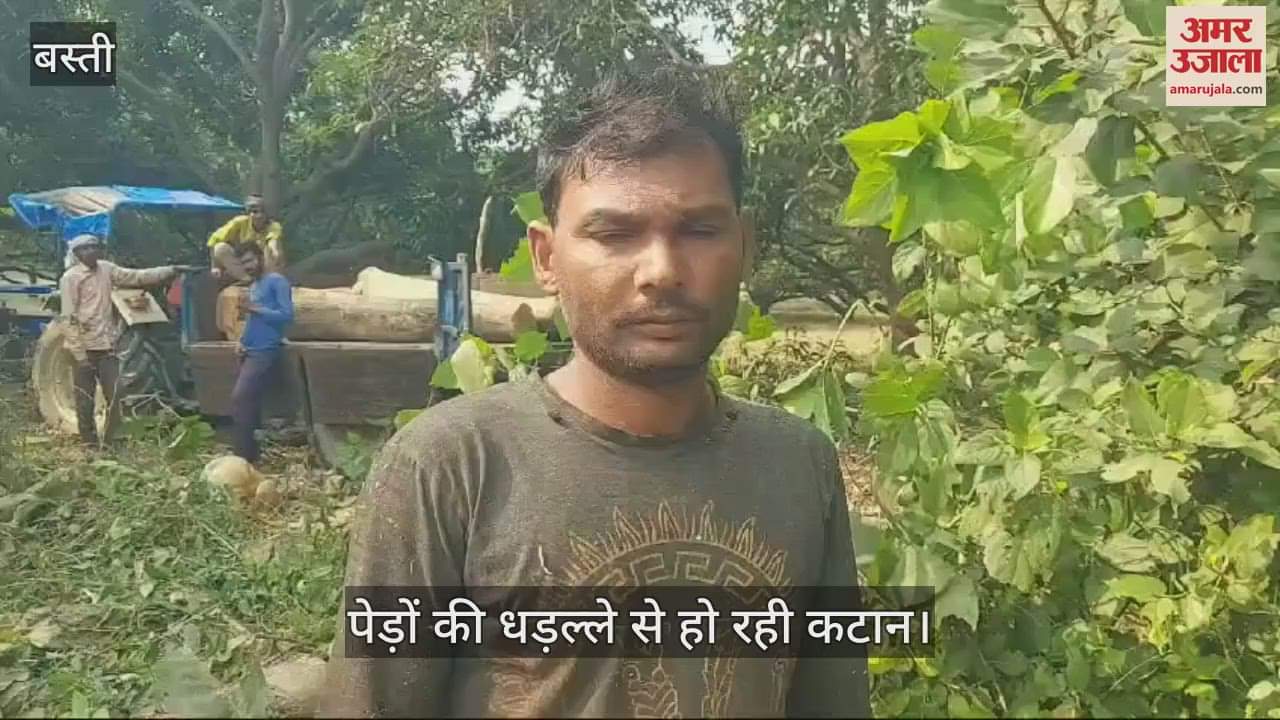 VIDEO : Trees are cut without permit, contractors misbehave