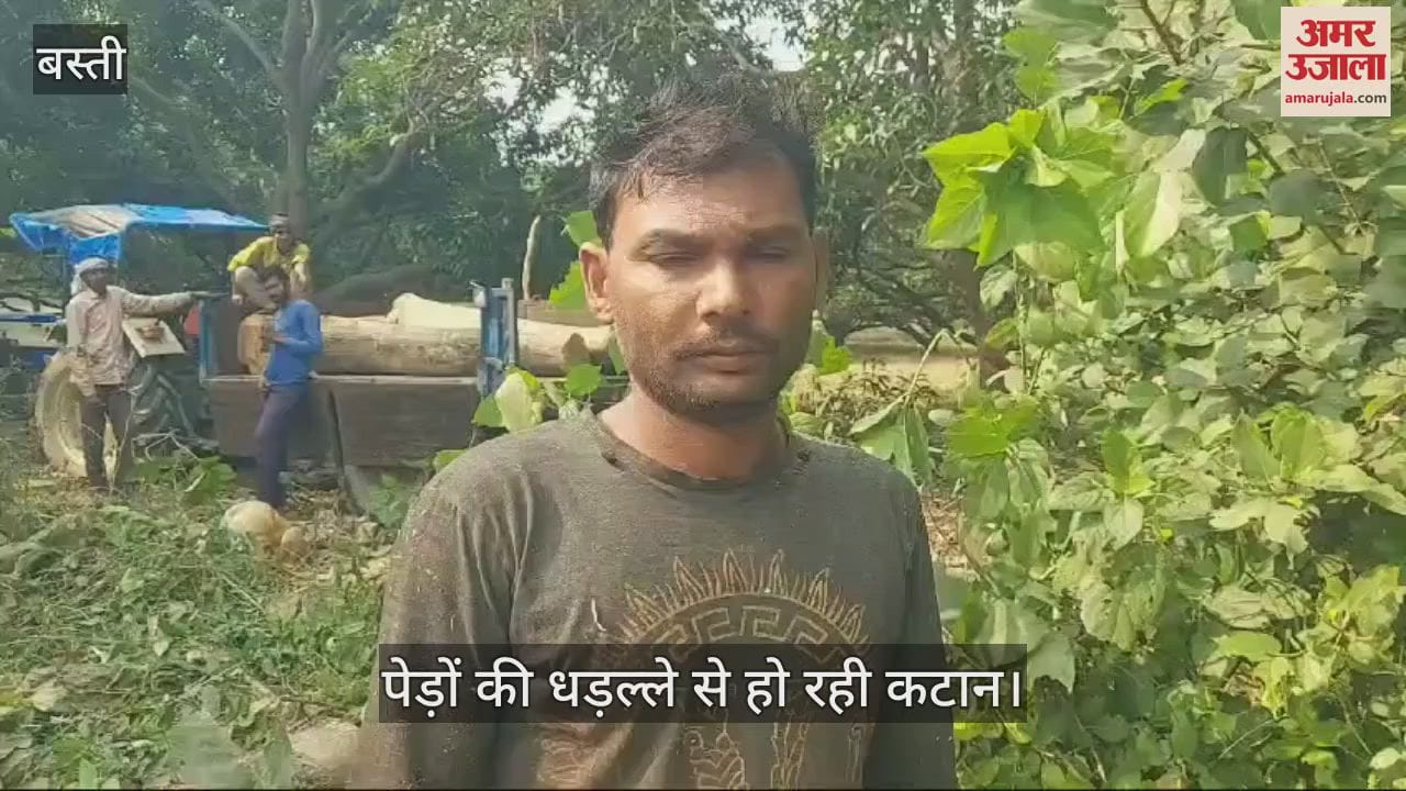 VIDEO : Trees are cut without permit, contractors misbehave