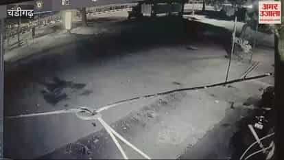 VIDEO : thieves first ate lot of cashews and almonds In Chandigarh VIDEO : thieves first ate lot of cashews and almonds In Chandigarh
