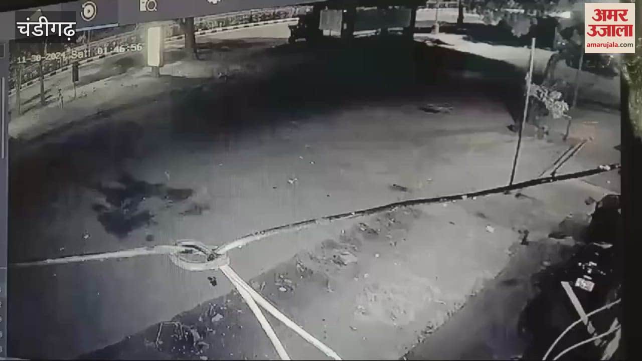 VIDEO : thieves first ate lot of cashews and almonds In Chandigarh