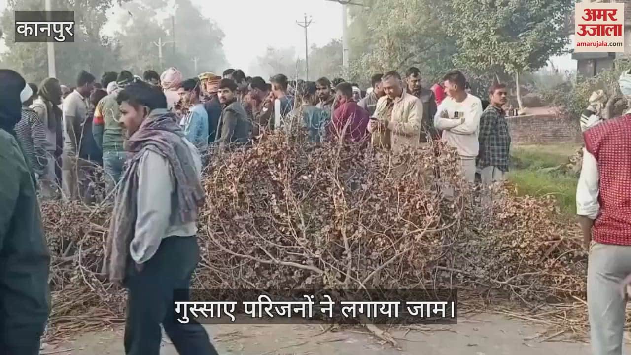 VIDEO : Pickup trampled mother and son returning from morning walk, death