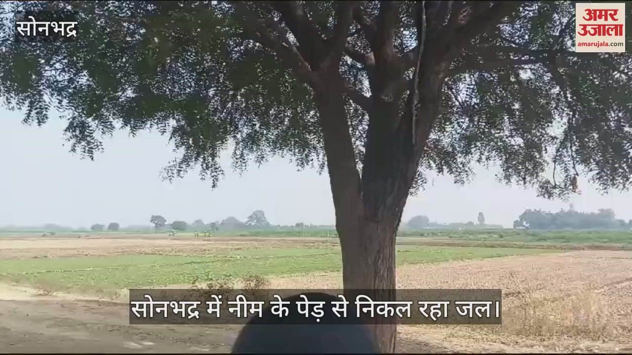 VIDEO : Water flowing from neem tree devotees gathered for worship in sonbhadra