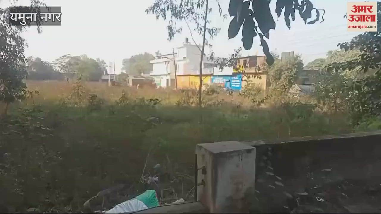 VIDEO : Preparations are being made to build a municipal corporation building on the land of the Mandi in front of the DC Camp Office in Yamunanagar