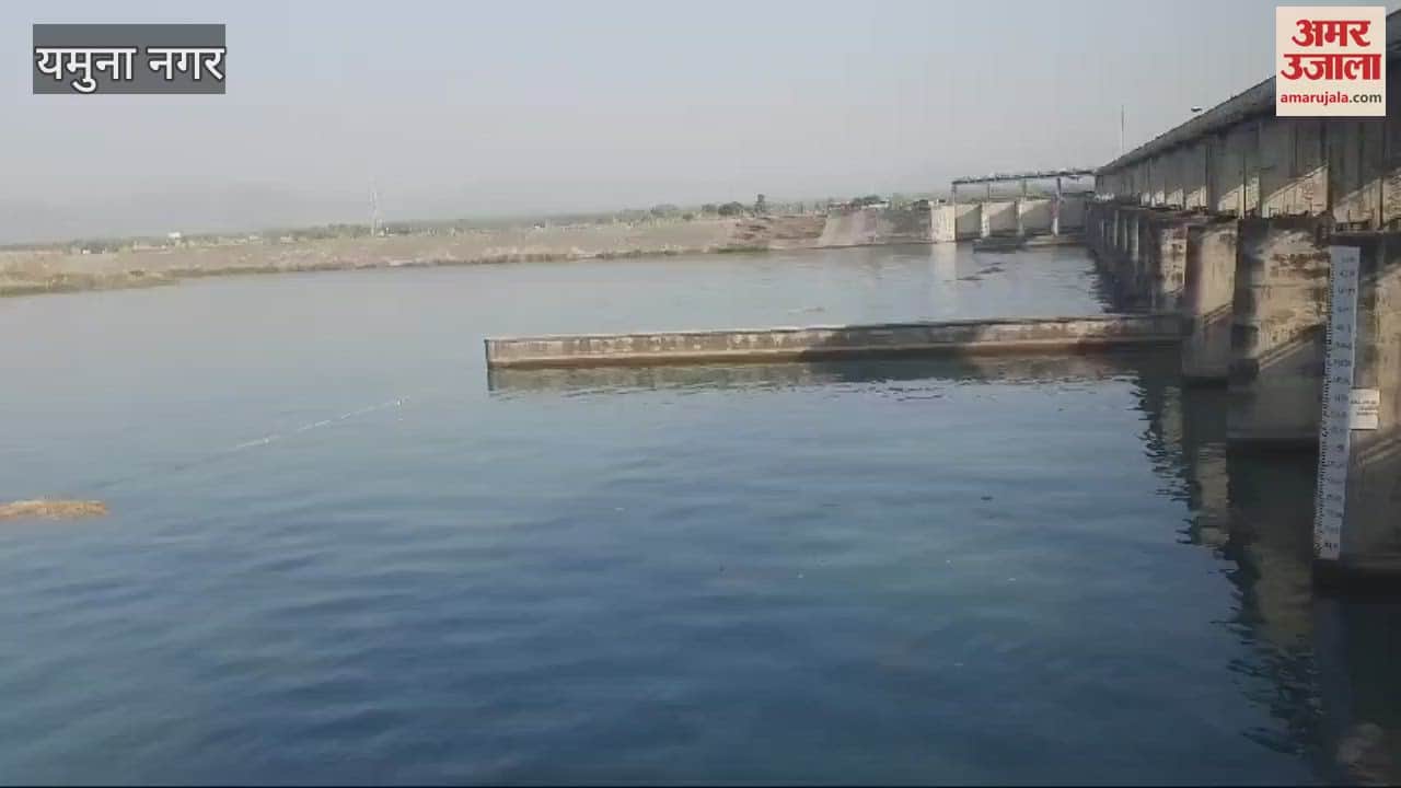 VIDEO : The platform of Hathini Kund Barrage in Yamunanagar is yearning for foreign guests