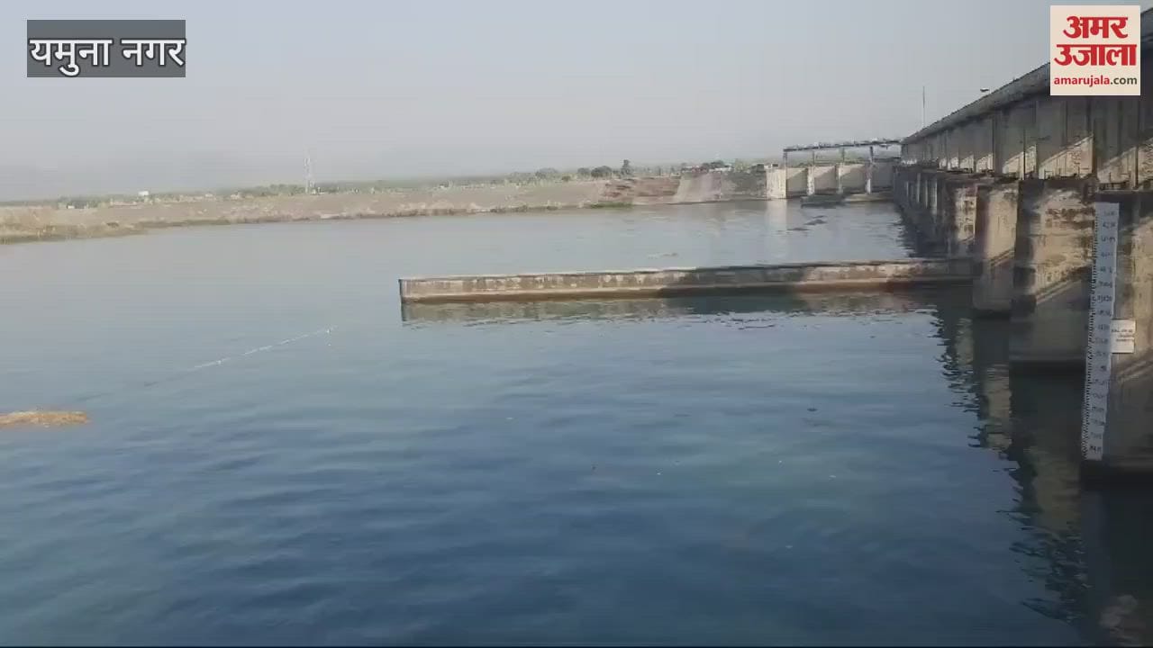 VIDEO : The platform of Hathini Kund Barrage in Yamunanagar is yearning for foreign guests