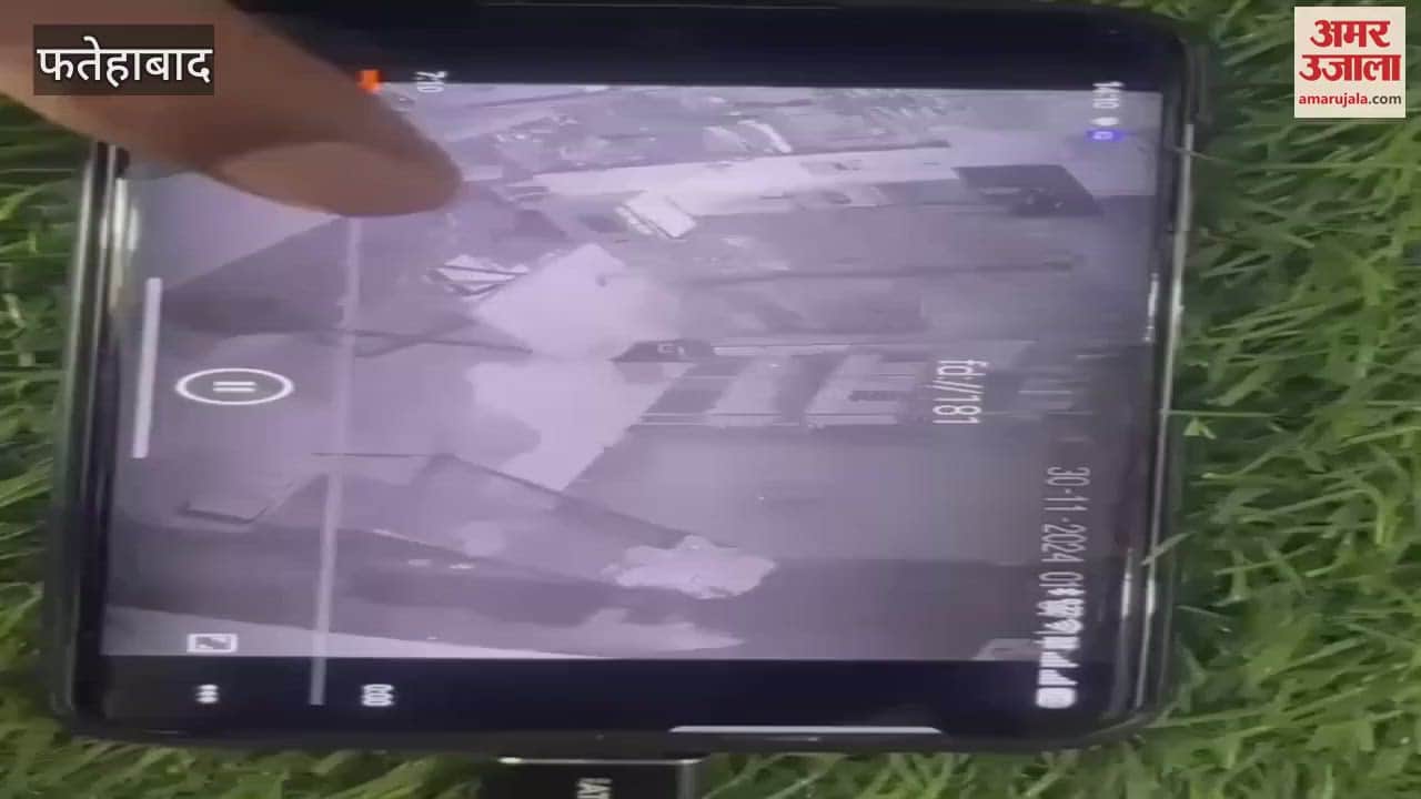 VIDEO : A thief broke into a bakery in Fatehabad's Bhattukalan and stole cash and other items