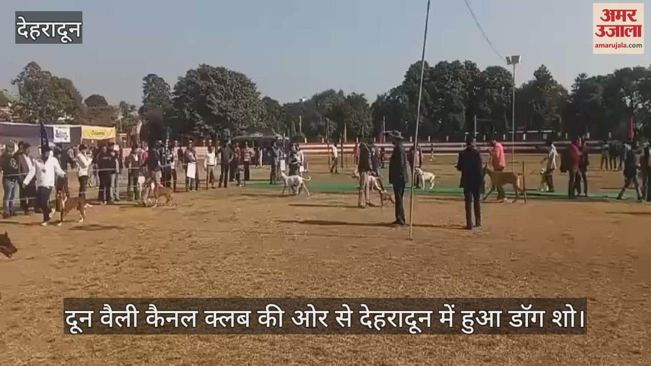 VIDEO : Dog show held in Dehradun Cute dogs spread their charm