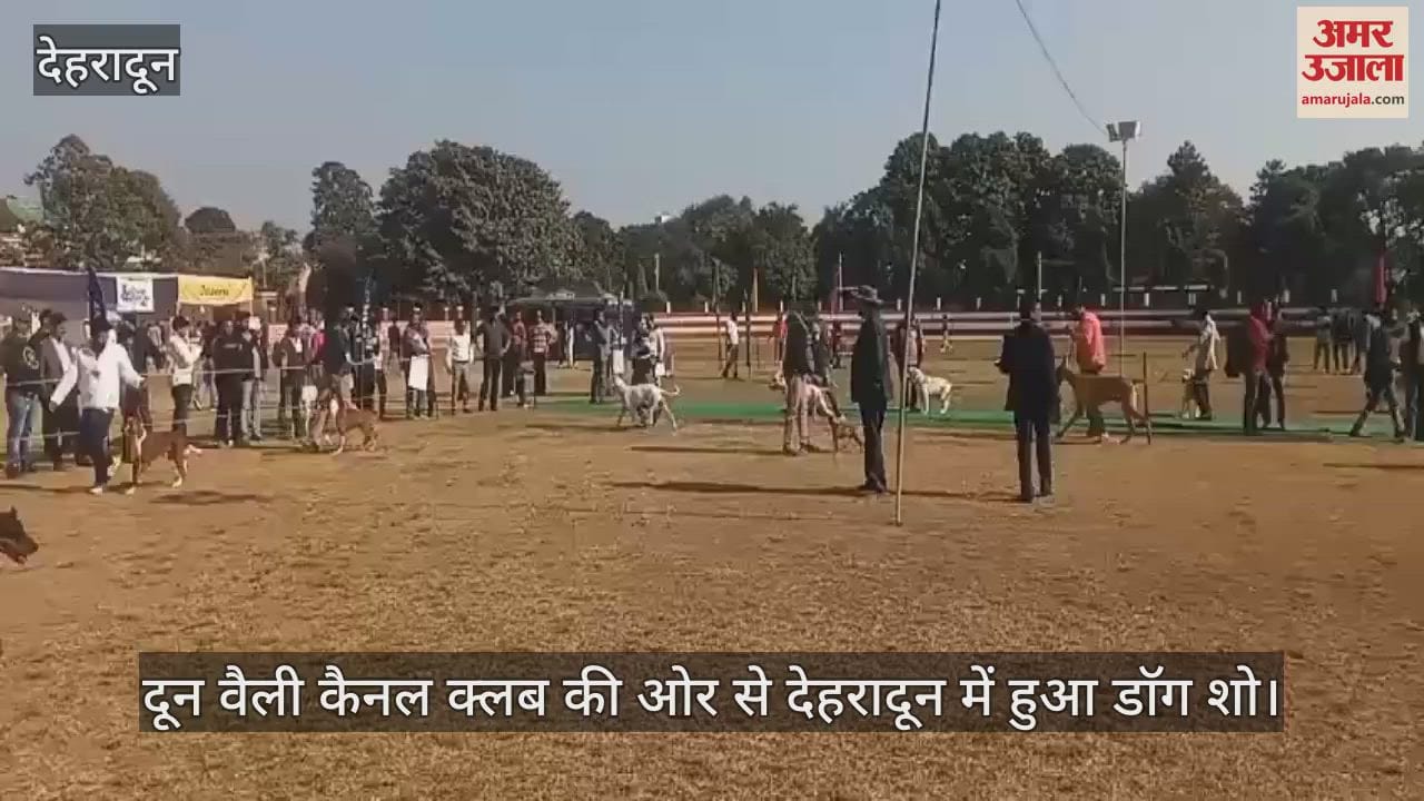 VIDEO : Dog show held in Dehradun Cute dogs spread their charm