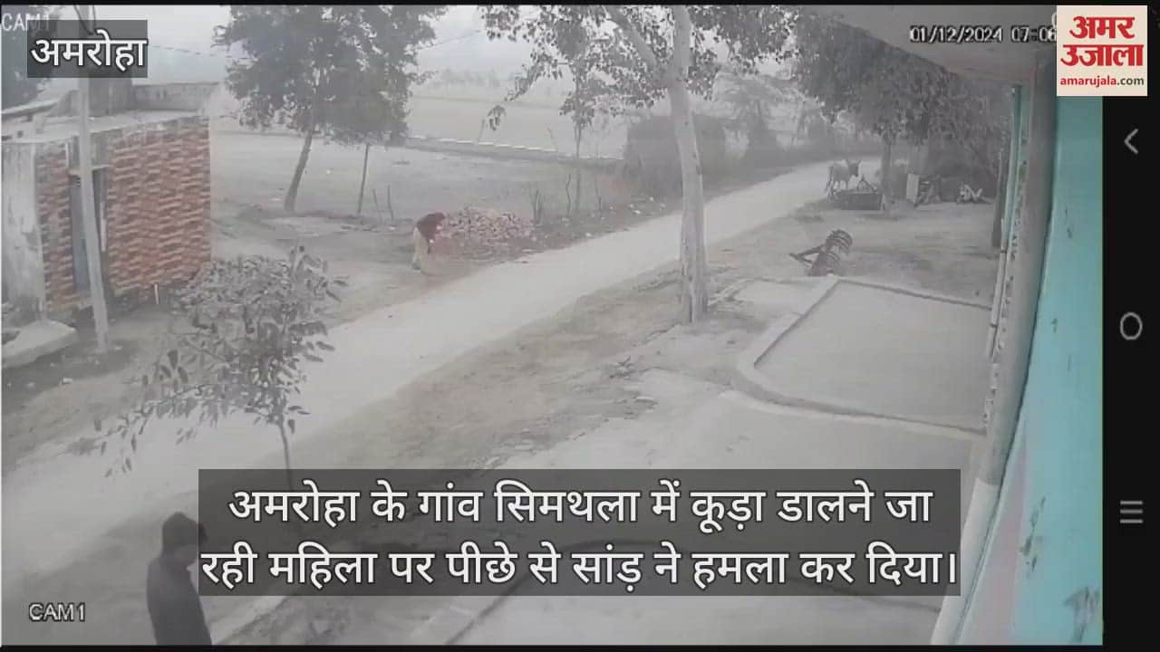 VIDEO : Bull attacked a woman from behind while she was going to dump garbage in Amroha