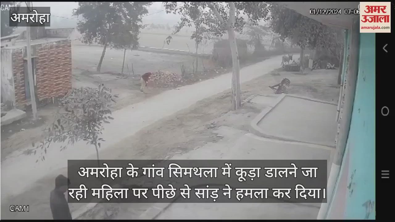 VIDEO : Bull attacked a woman from behind while she was going to dump garbage in Amroha