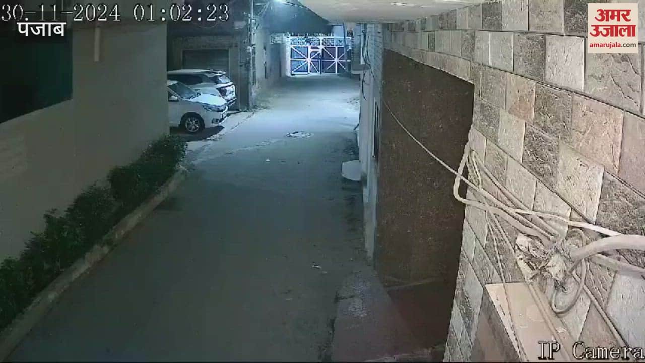 VIDEO : कुत्ते न भौंकते तो चोर कर देते वारदात