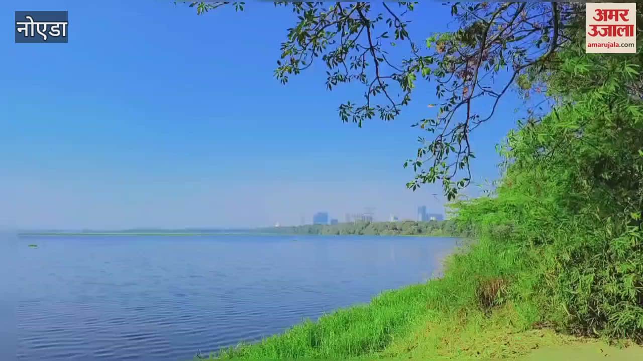 VIDEO : Record number of people arrived to see exotic birds on the first day of December