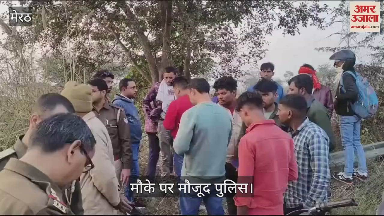 VIDEO : Truck overturned in Ganganahar after breaking the barrier on Kanwar track road in Sardhana, driver dies