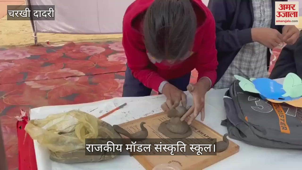 VIDEO : Nimli and Sanwad schools became winners in district level art competition in Dadri