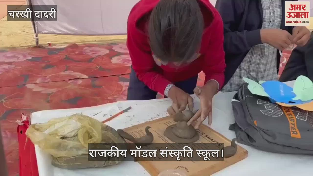 VIDEO : Nimli and Sanwad schools became winners in district level art competition in Dadri
